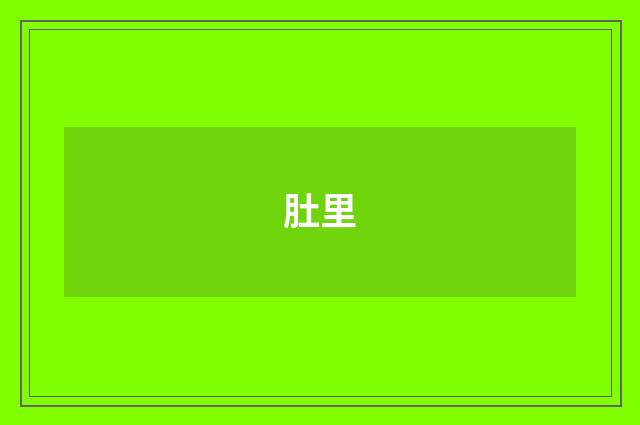 肚里