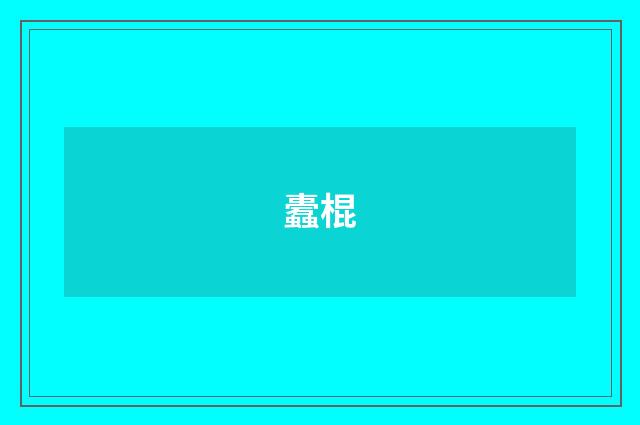 蠹棍