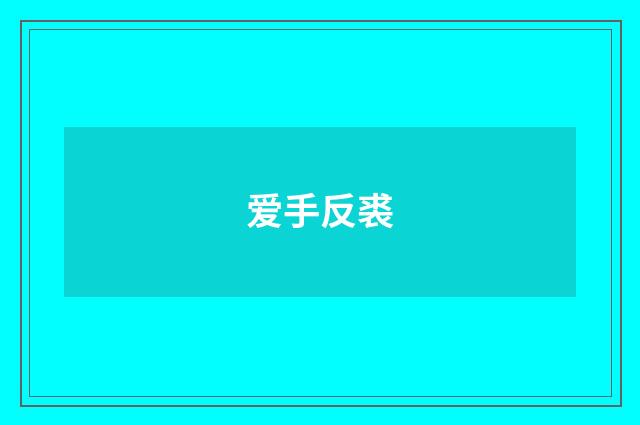 爱手反裘