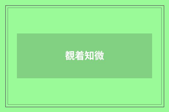 覩着知微