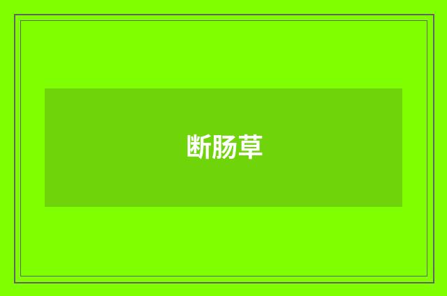 断肠草