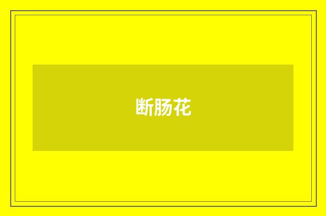 断肠花