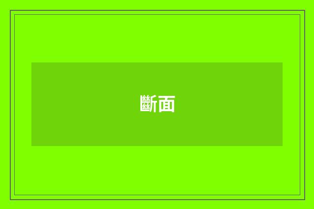 斷面