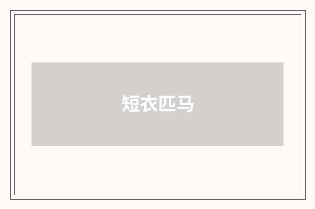 短衣匹马