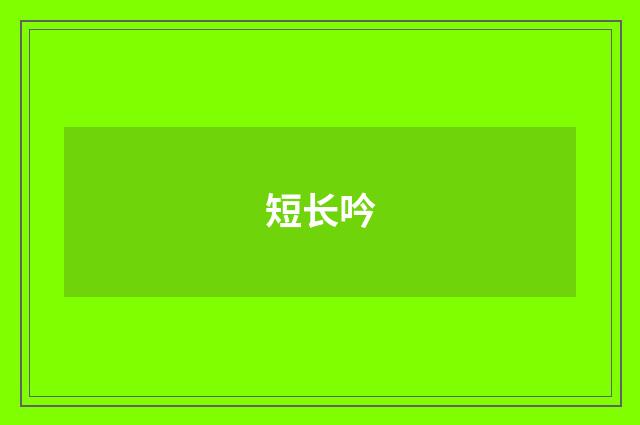 短长吟