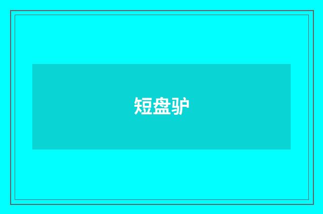 短盘驴