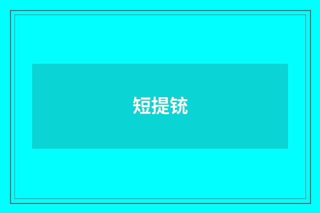 短提铳