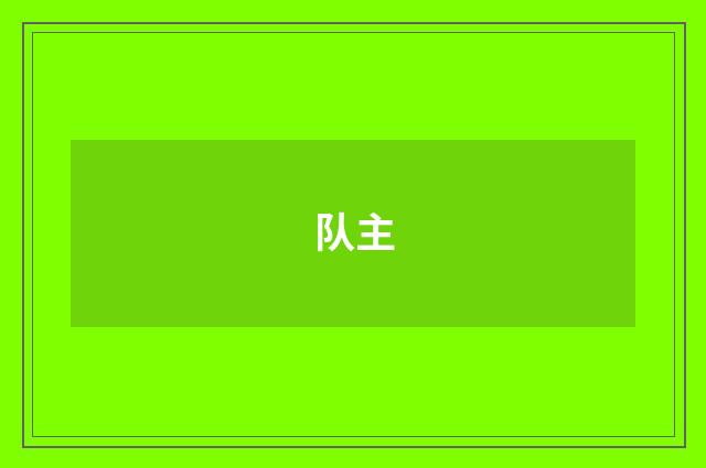 队主