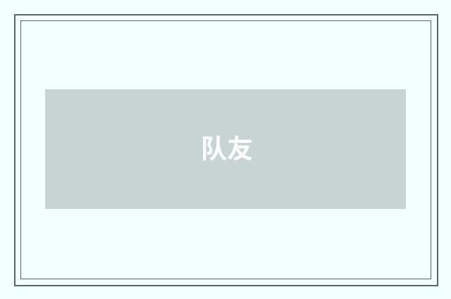 队友