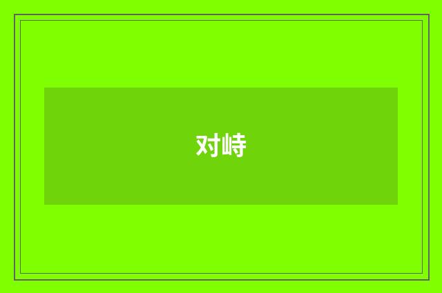 对峙