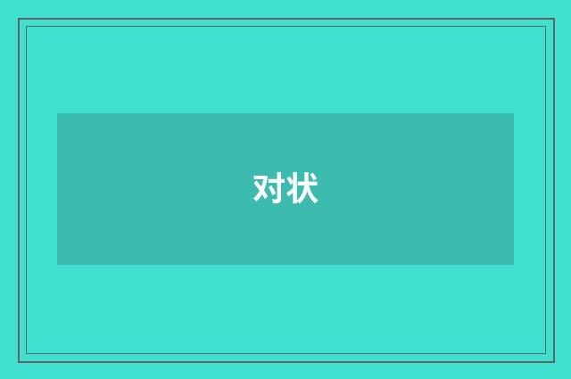 对状