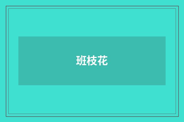 班枝花