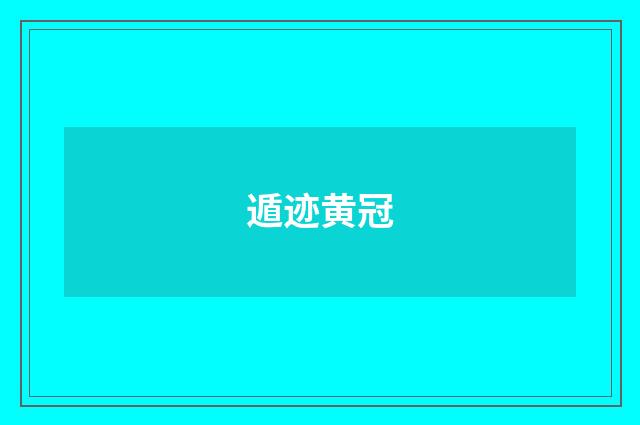遁迹黄冠