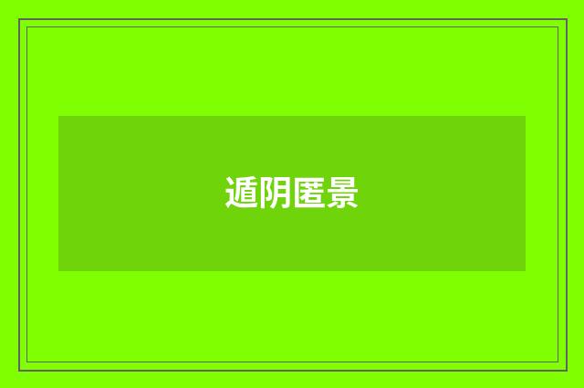 遁阴匿景