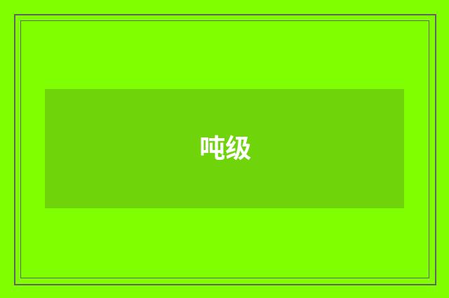 吨级