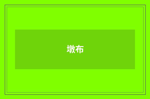 墩布
