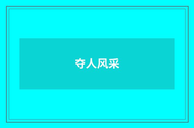 夺人风采