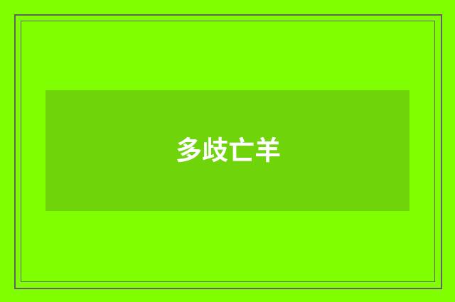 多歧亡羊