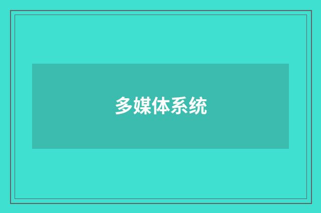 多媒体系统