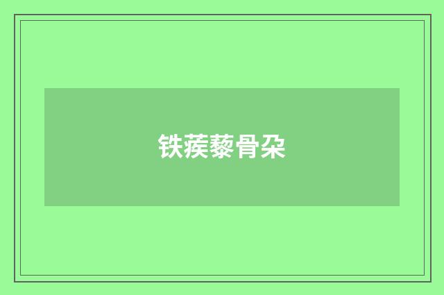 铁蒺藜骨朶