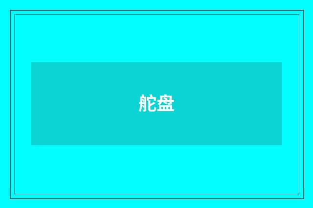 舵盘