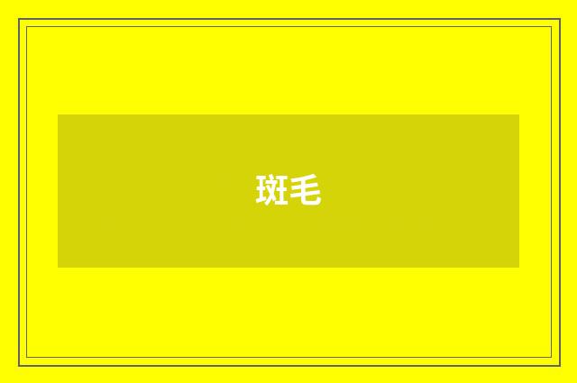 斑毛