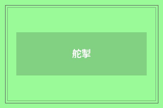 舵掣