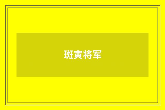 斑寅将军