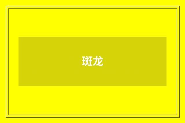 斑龙