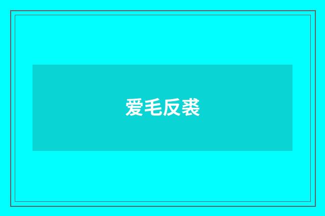 爱毛反裘