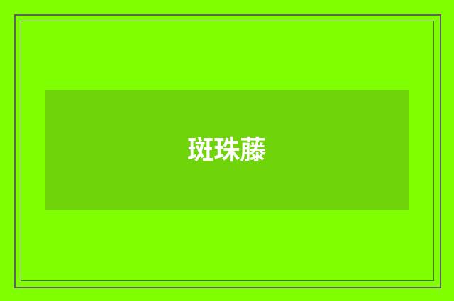 斑珠藤