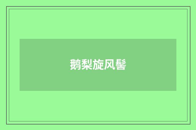 鹅梨旋风髻