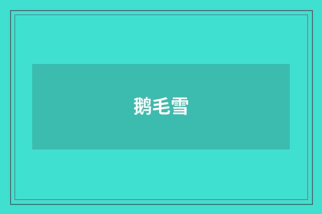 鹅毛雪