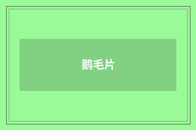 鹅毛片