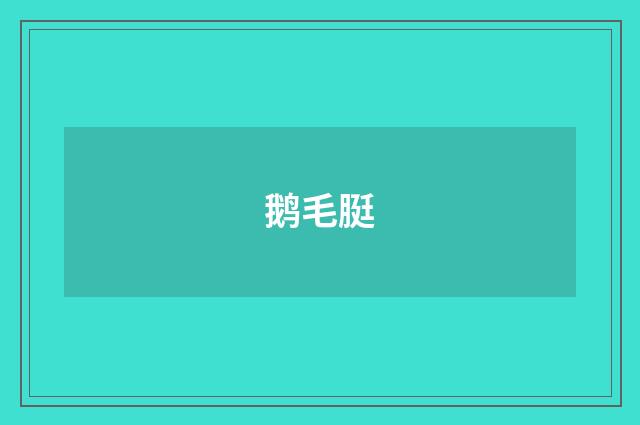 鹅毛脡