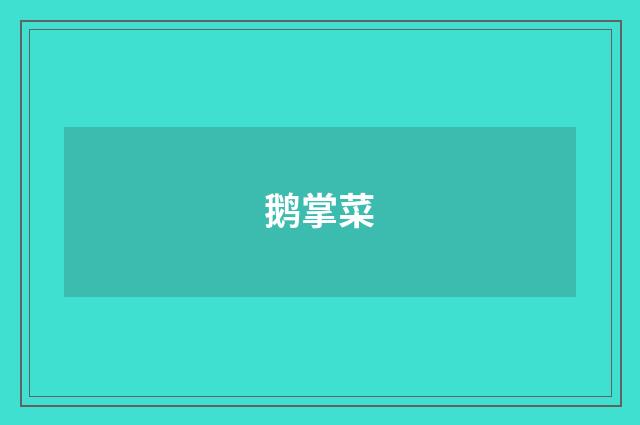 鹅掌菜