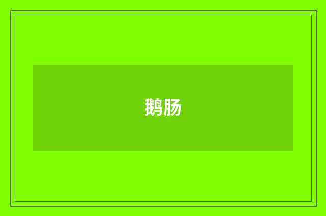 鹅肠