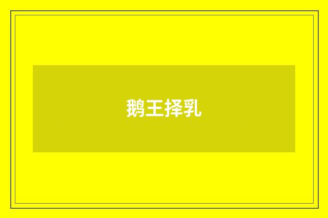 鹅王择乳
