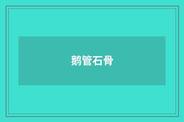 鹅管石骨