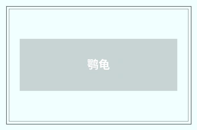 鹗龟