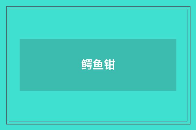 鳄鱼钳