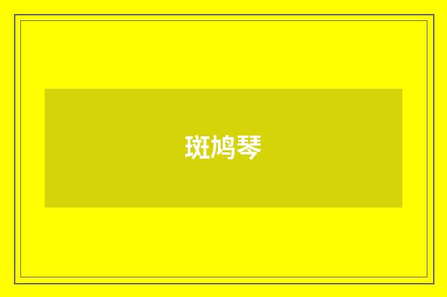 斑鸠琴
