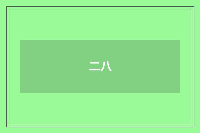 二八