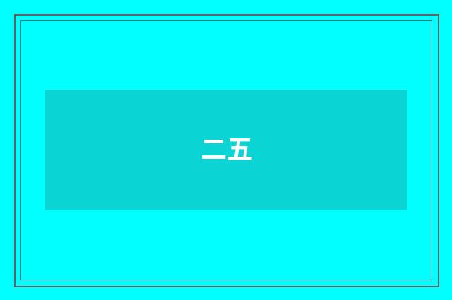 二五