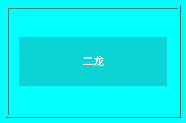 二龙