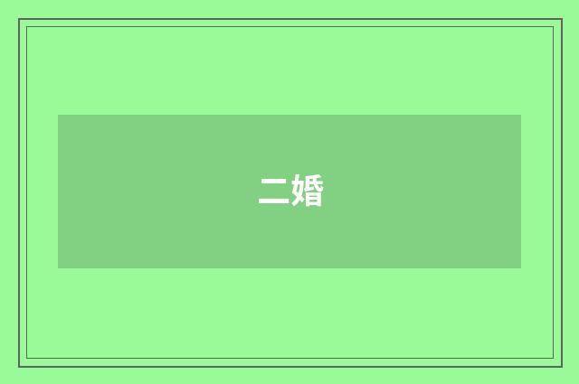 二婚