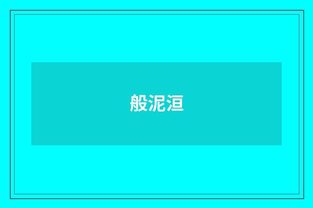 般泥洹