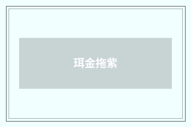 珥金拖紫