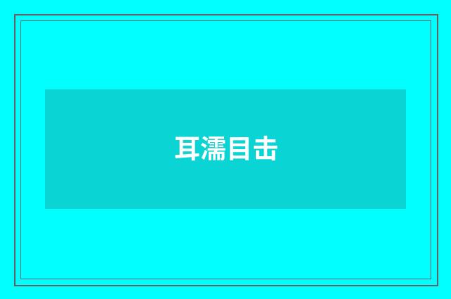 耳濡目击