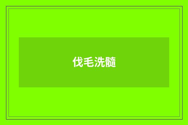 伐毛洗髓